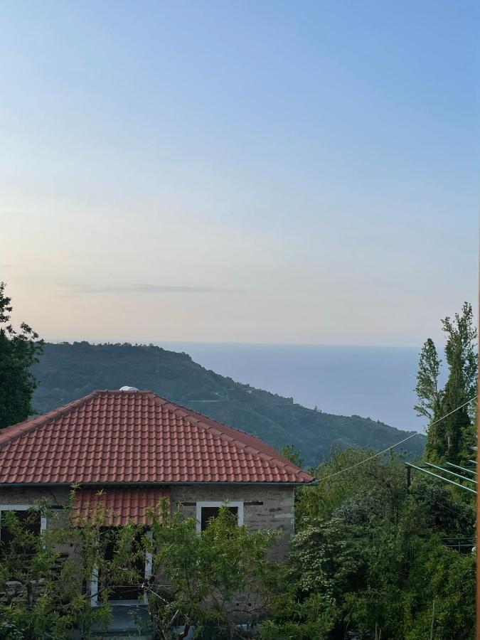 Camellia Guesthouse Anilio Pelion Eksteriør billede
